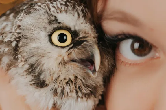 Kasino Loco Win Sokongan